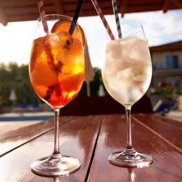 Villa Plattensee Vonyarcvashegy - Vendéglátás