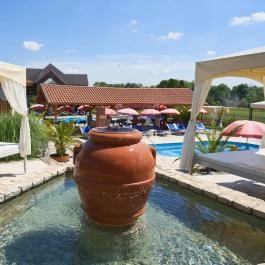 Villa Plattensee Vonyarcvashegy - Medence/kert