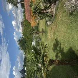 Villa Plattensee Vonyarcvashegy - Medence/kert