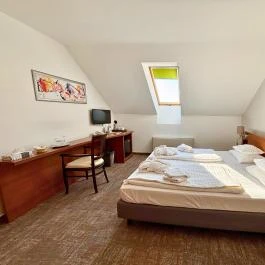 Zenit Hotel Balaton Vonyarcvashegy - Egyéb