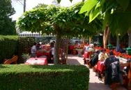 Zöld Elefánt Étterem Zalaapáti