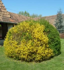 Szent Antal Fogadó étterme