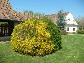 Szent Antal Fogadó étterme Zalabér