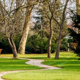 Batthyány Kúria Zalacsány - Medence/kert