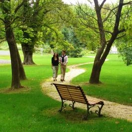 Batthyány Kúria Zalacsány - Medence/kert