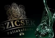 Robinson Music Pub Étterem Zalaegerszeg