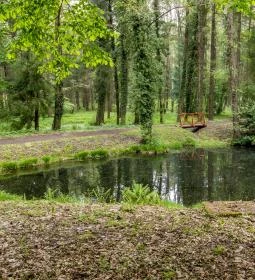 Csácsbozsoki arborétum