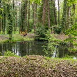 Csácsbozsoki arborétum Zalaegerszeg - Egyéb