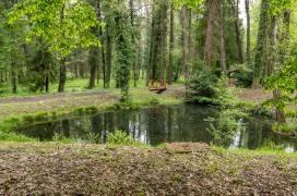 Csácsbozsoki arborétum Zalaegerszeg