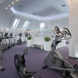 Arany Bárány Hotel Zalaegerszeg - Szórakozás/Sport