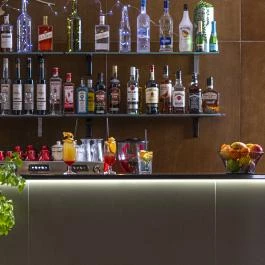 Willis Hotel Business & Wellness Zalaegerszeg - Vendéglátás