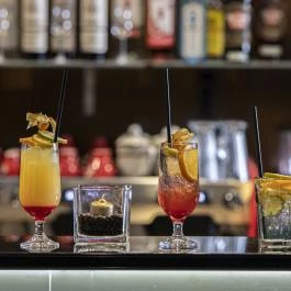 Willis Hotel Business & Wellness Zalaegerszeg - Vendéglátás