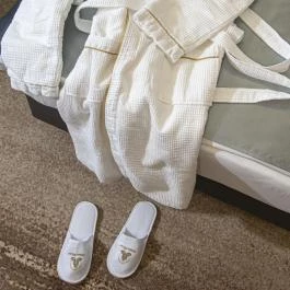 Willis Hotel Business & Wellness Zalaegerszeg - Szobák