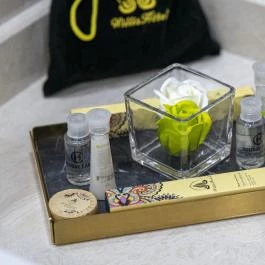 Willis Hotel Business & Wellness Zalaegerszeg - Szobák