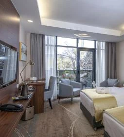 Willis Hotel Business & Wellness