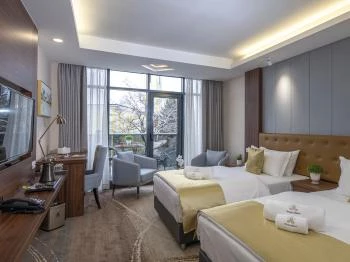 Willis Hotel Business & Wellness Zalaegerszeg