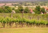 Szent Orbán Borozó Zalakaros