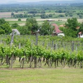 Szent Orbán Borozó Zalakaros - Egyéb