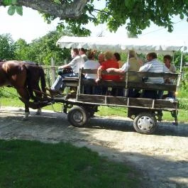 Szent Orbán Borozó Zalakaros - Egyéb