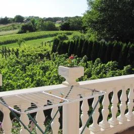 Alsóhegyi Apartmanok Zalakaros - Szobák