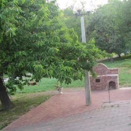 Alsóhegyi Apartmanok Zalakaros - Medence/kert