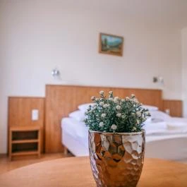 Aquatherm Hotel Zalakaros - Szobák