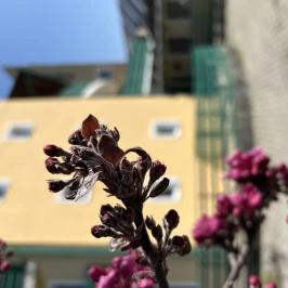 Aquatherm Hotel Zalakaros - Medence/kert