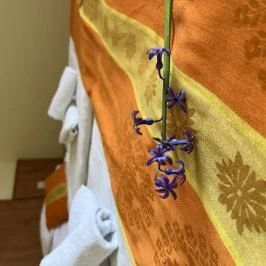 Aquatherm Hotel Zalakaros - Szobák