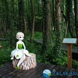 Arany Apartmanház Zalagyöngye Zalakaros - Egyéb