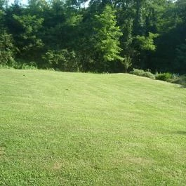 Balla Apartman Zalakaros - Medence/kert