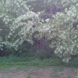 Balla Apartman Zalakaros - Környék