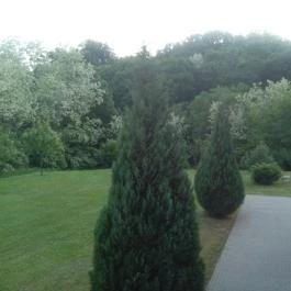 Balla Apartman Zalakaros - Medence/kert