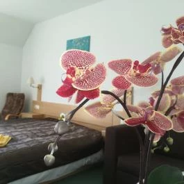 Borisz Apartmanház Zalakaros - Szobák