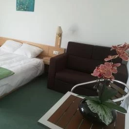 Borisz Apartmanház Zalakaros - Egyéb