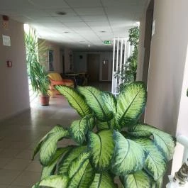 Borisz Apartmanház Zalakaros - Egyéb