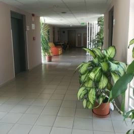 Borisz Apartmanház Zalakaros - Egyéb