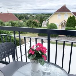 Mese Panzió Zalakaros - Medence/kert