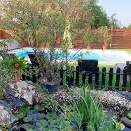 Mese Panzió Zalakaros - Medence/kert