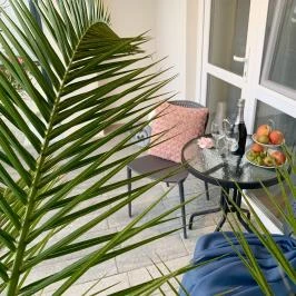 Mese Panzió Zalakaros - Medence/kert