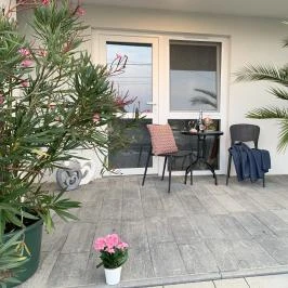 Mese Panzió Zalakaros - Medence/kert