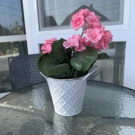 Mese Panzió Zalakaros - Szobák