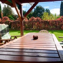 Mese Panzió Zalakaros - Medence/kert