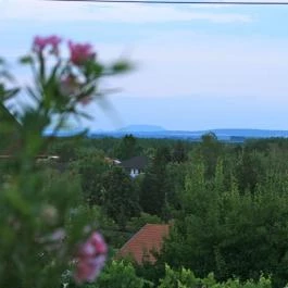 Mese Panzió Zalakaros - Egyéb