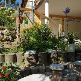 Hanna-Bella Apartman Zalakaros - Medence/kert