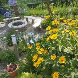 Hanna-Bella Apartman Zalakaros - Medence/kert