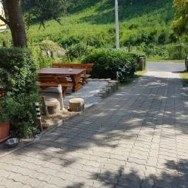 Hanna-Bella Apartman Zalakaros - Medence/kert