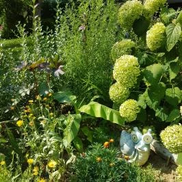 Hanna-Bella Apartman Zalakaros - Medence/kert