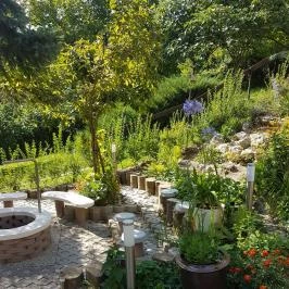 Hanna-Bella Apartman Zalakaros - Medence/kert