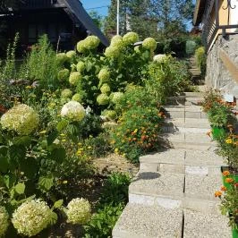 Hanna-Bella Apartman Zalakaros - Külső kép