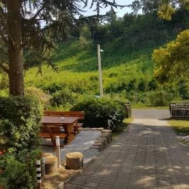 Hanna-Bella Apartman Zalakaros - Medence/kert